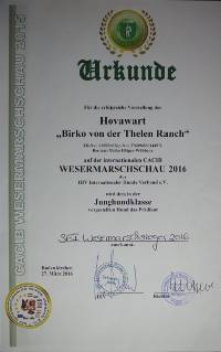 02 Rodenkirchen Urkunde Wesermarsch DSC05725